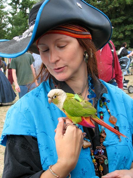 A Pirate