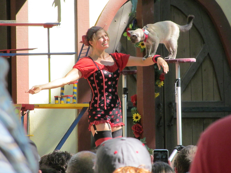 Bristol Renaissance Faire 2018