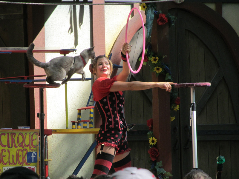 Bristol Renaissance Faire 2018