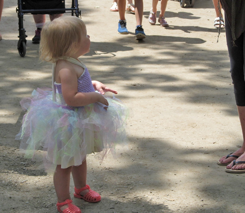 Bristol Renaissance Faire 2018